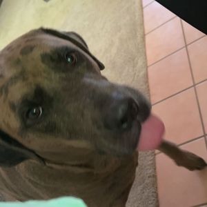 Meet your Posher, Lesly